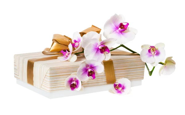 Orkidé blomma och present box. — Stockfoto