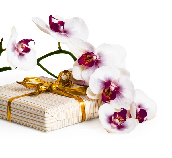 Orchideenblume und Geschenkbox. — Stockfoto