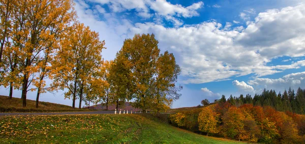 Road going to the forest along the autumn trees. — Stock Photo, Image