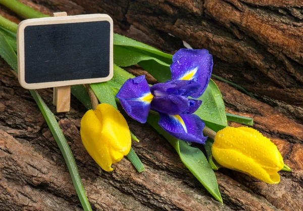 Íris flor e tulipas com gotas de água no fundo de madeira — Fotografia de Stock