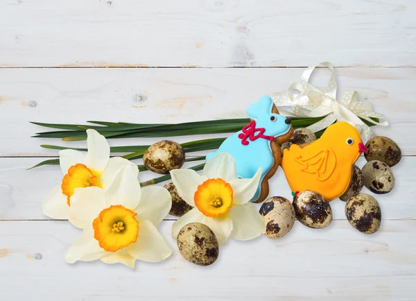 Narcissus blomma och vaktel ägg — Stockfoto