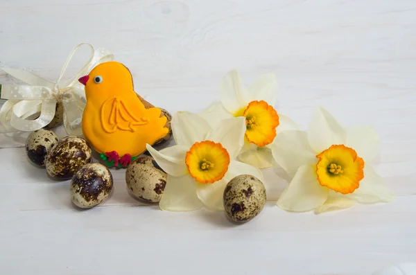 Flor de narciso e ovo de codorna — Fotografia de Stock