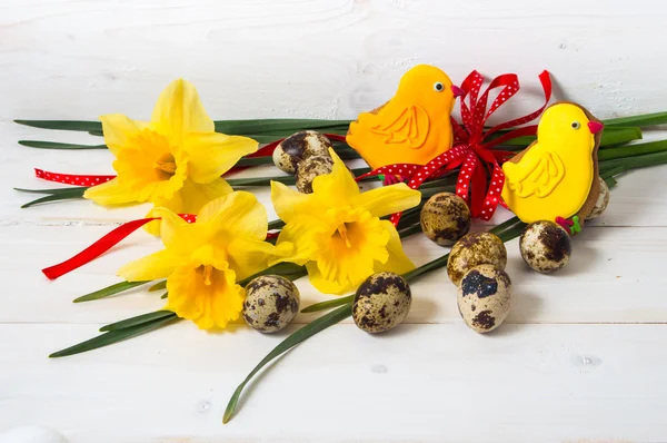 Narcissus flower and quail egg — Stock Photo, Image