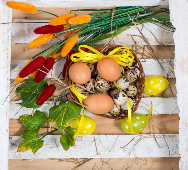 Páscoa ainda vida. Codorniz e ovos de galinha em uma cesta com sprin — Fotografia de Stock