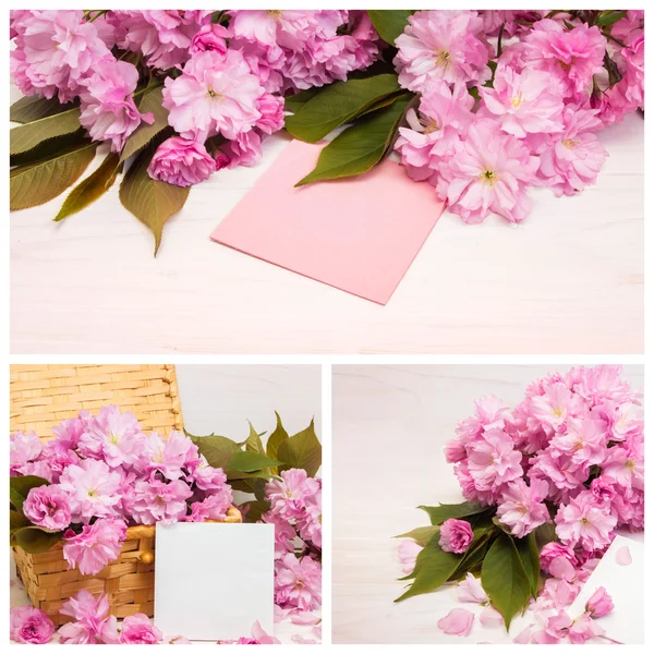 Collage van foto's cherry blossoms. — Stockfoto