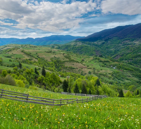 Recinzione vicino al prato e alberi sul fianco della collina — Foto Stock