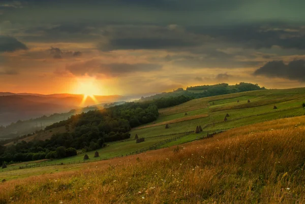 Feld mit Gras und Heuhaufen in den Bergen früh Stockbild