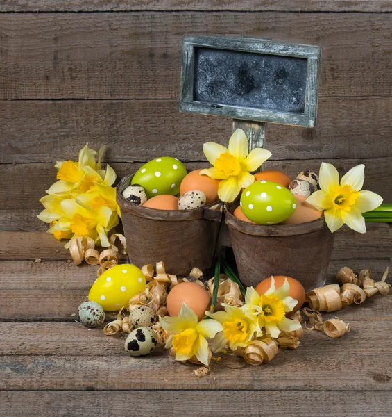 Easter decorative eggs in a pot and flowers of narcissus — Stock Photo, Image