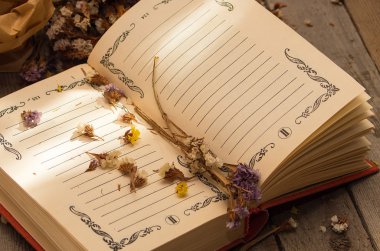 Kurutulmuş çiçeklerle notlar yazmak için rezervasyon yaptırın.