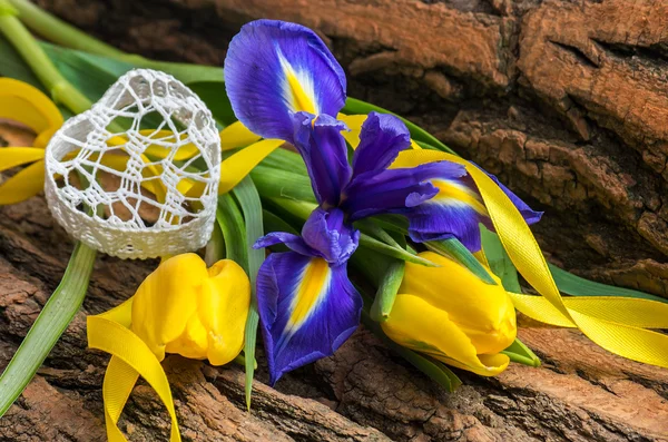 Mavi iris ve dekoratif kalp ile Sarı Lale çiçek — Stok fotoğraf