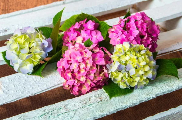 Ramo de flores frescas hortensias —  Fotos de Stock