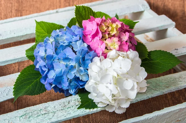 Bouquet of fresh flowers hydrangeas — Stock Photo, Image