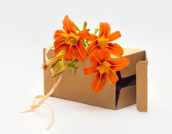 Dekorative Geschenkschachtel mit orangefarbenen Lilienblüten — Stockfoto