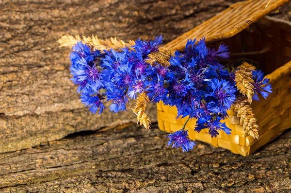 Cornflower en la cesta —  Fotos de Stock