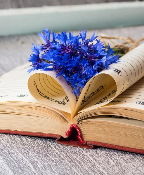 Book pages folded into a heart and a flower of bouquet cornflowe — Stock Photo, Image
