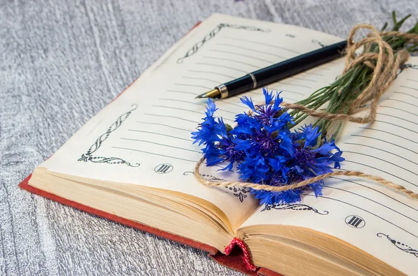 Bouquet of blue cornflowers on the open book. — Stock Photo, Image