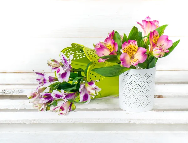 Jarní květiny v hrnci — Stock fotografie