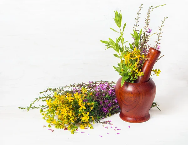 Healing herbs — Stock Photo, Image