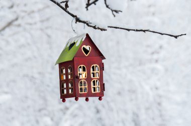  Dekoratif fener kış günü şube kar üzerinde asılı