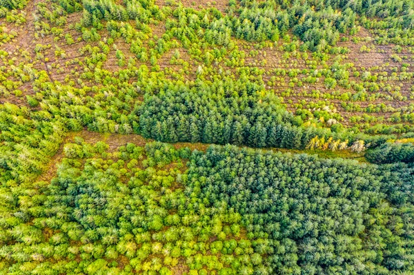 Increíble aérea de bosque en el Condado de Donegal - Irlanda — Foto de Stock