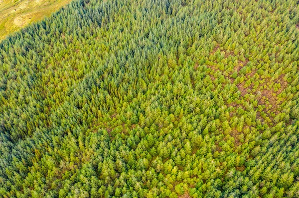 Increíble aérea de bosque en el Condado de Donegal - Irlanda — Foto de Stock