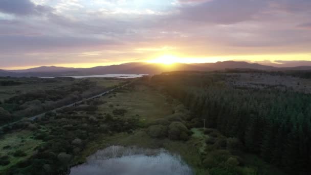 Vista aérea de arriba hacia abajo sobre el hábitat del pantano en Irlanda — Vídeo de stock