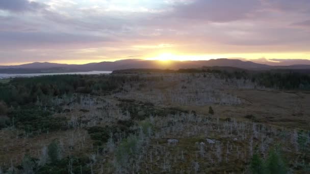 İrlanda 'daki bataklık habitatının yukarıdan aşağı görüntüsü — Stok video