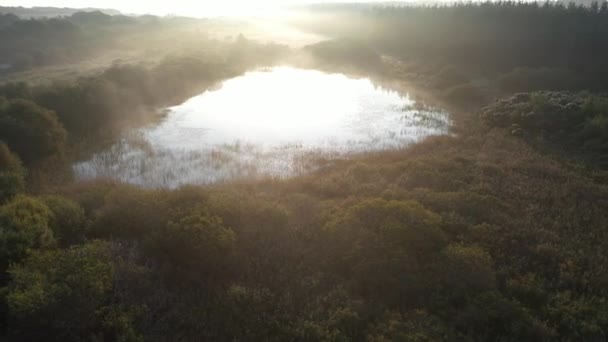 Belle vue sur les tourbières brumeuses du comté de Donegal au lever du soleil - Irlande. — Video