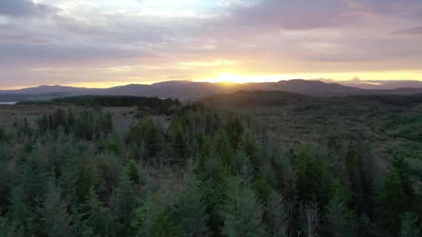 Vue aérienne du haut vers le bas sur l'habitat des tourbières en Irlande — Video