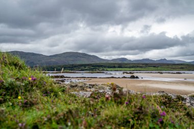Donegal 'de Ardara ile Portnoo arasındaki Sheskinmore Doğa Koruma Alanı' ndaki Carn Sahili - İrlanda