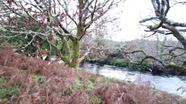 A paisagem selvagem e bonita ao lado do rio Owenea por Ardara - Condado de Donegal, Irlanda — Vídeo de Stock