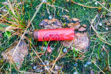 GLENTIES, IRELAND - ARALIK 06: 2020: Alanda yatan kuş atışı