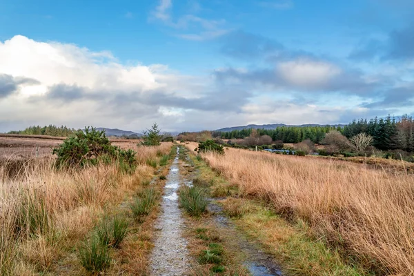 Ο δρόμος για το δάσος Tullyard από Ardara στην κομητεία Donegal - Ιρλανδία — Φωτογραφία Αρχείου