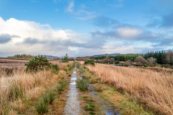 El camino a Tullyard por Ardara en el Condado de Donegal - Irlanda — Foto de Stock