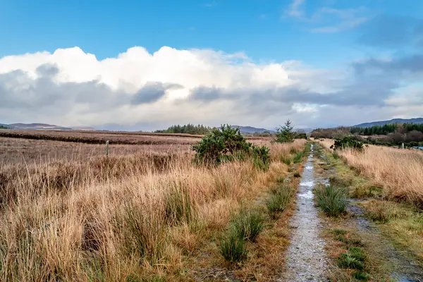Der Weg zum Tullyard-Wald bei Ardara in der Grafschaft Donegal - Irland — Stockfoto