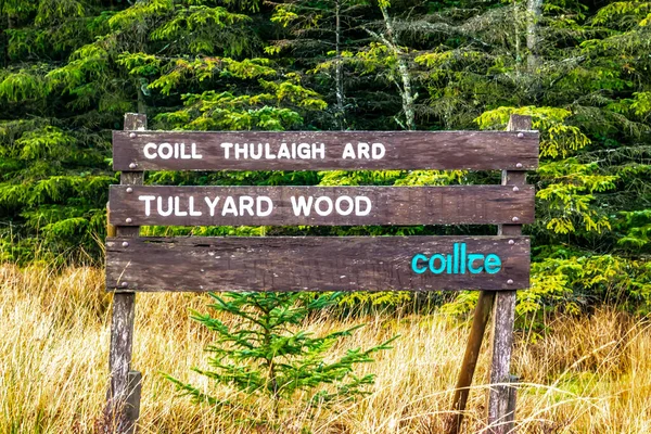 АРДАРА, Ирландия - 06 ДЕКАБРЯ 2020: Знак информирования о пути к дереву Таллиард — стоковое фото