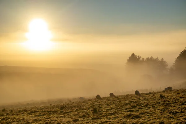 Όμορφο πεδίο στην ομίχλη στην κομητεία Donegal - Ιρλανδία — Φωτογραφία Αρχείου