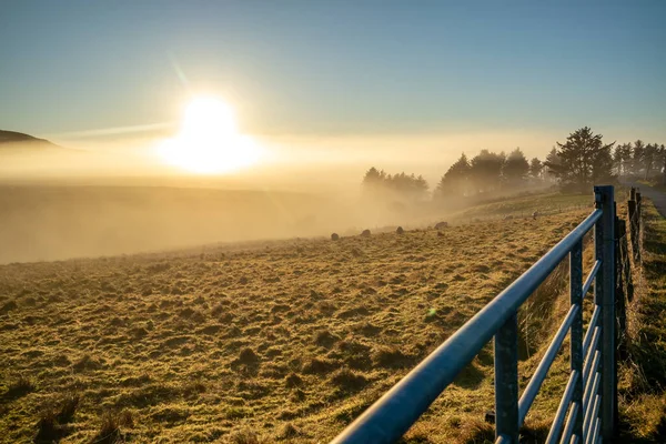 Прекрасне поле в тумані в графстві Донегал (Ірландія). — стокове фото
