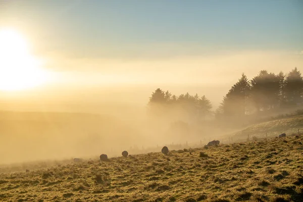 Όμορφο πεδίο στην ομίχλη στην κομητεία Donegal - Ιρλανδία — Φωτογραφία Αρχείου