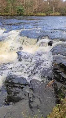 Donegal İlçesi 'nden akan vahşi dere - İrlanda