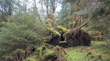 Donegal, İrlanda 'nın Frosses kentindeki Bonny Glen' in güzel manzarası