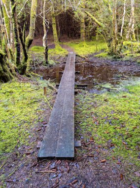 Donegal, İrlanda 'nın Frosses kentindeki Bonny Glen' in güzel manzarası