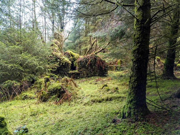 ドニゴール州のフロスによるボニー・グレンの美しい風景-アイルランド — ストック写真