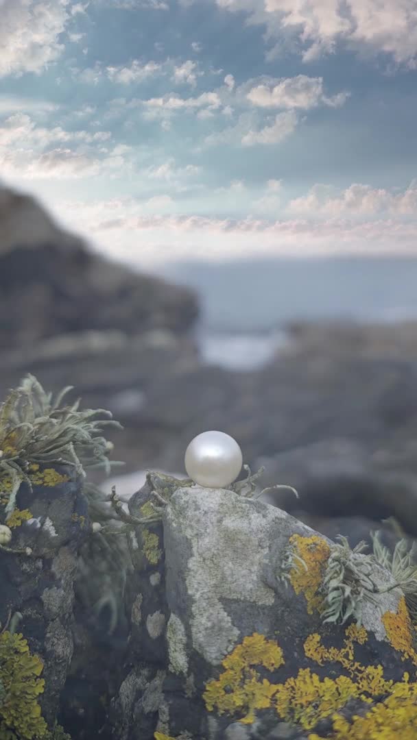 Πολύτιμο μαργαριτάρι ξαπλωμένο σε ένα βράχο στην ακτή — Αρχείο Βίντεο