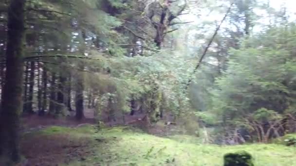 Piękny krajobraz Bonny Glen by Frosses w hrabstwie Donegal - Irlandia — Wideo stockowe