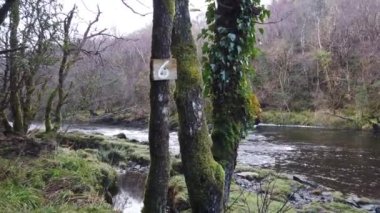 River Eany, Bonny Glen 'in güzel manzarasında Donegal' deki Frosses - İrlanda