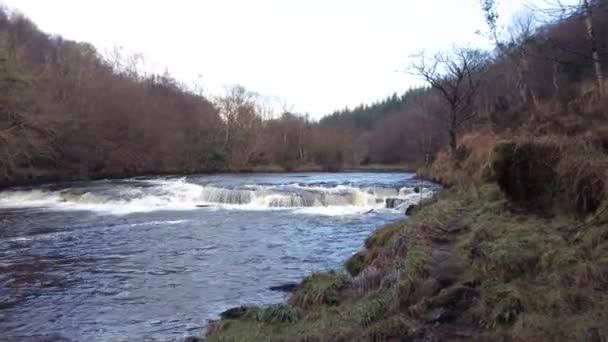 River Eany, Bonny Glen 'in güzel manzarasında Donegal' deki Frosses - İrlanda — Stok video