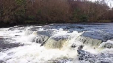River Eany, Bonny Glen 'in güzel manzarasında Donegal' deki Frosses - İrlanda