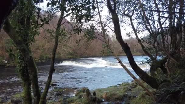 Die wunderschöne Landschaft von Bonny Glen by Frosses im County Donegal - Irland — Stockvideo