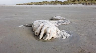 Ölü balina, Narin sahilinde Portnoo - County Donegal, İrlanda.